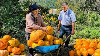 Cooking Pumpkin directly from Our Garden! Autumn Village Harvest