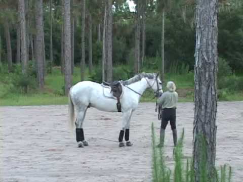 Chazot and Jean Luc Cornille Lunging