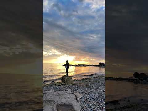 Kurmanci Here Gule 🌹#kurmanciheregule #kurdi #kurd #kürtçe #fypシ #fypシ゚viral #fyp