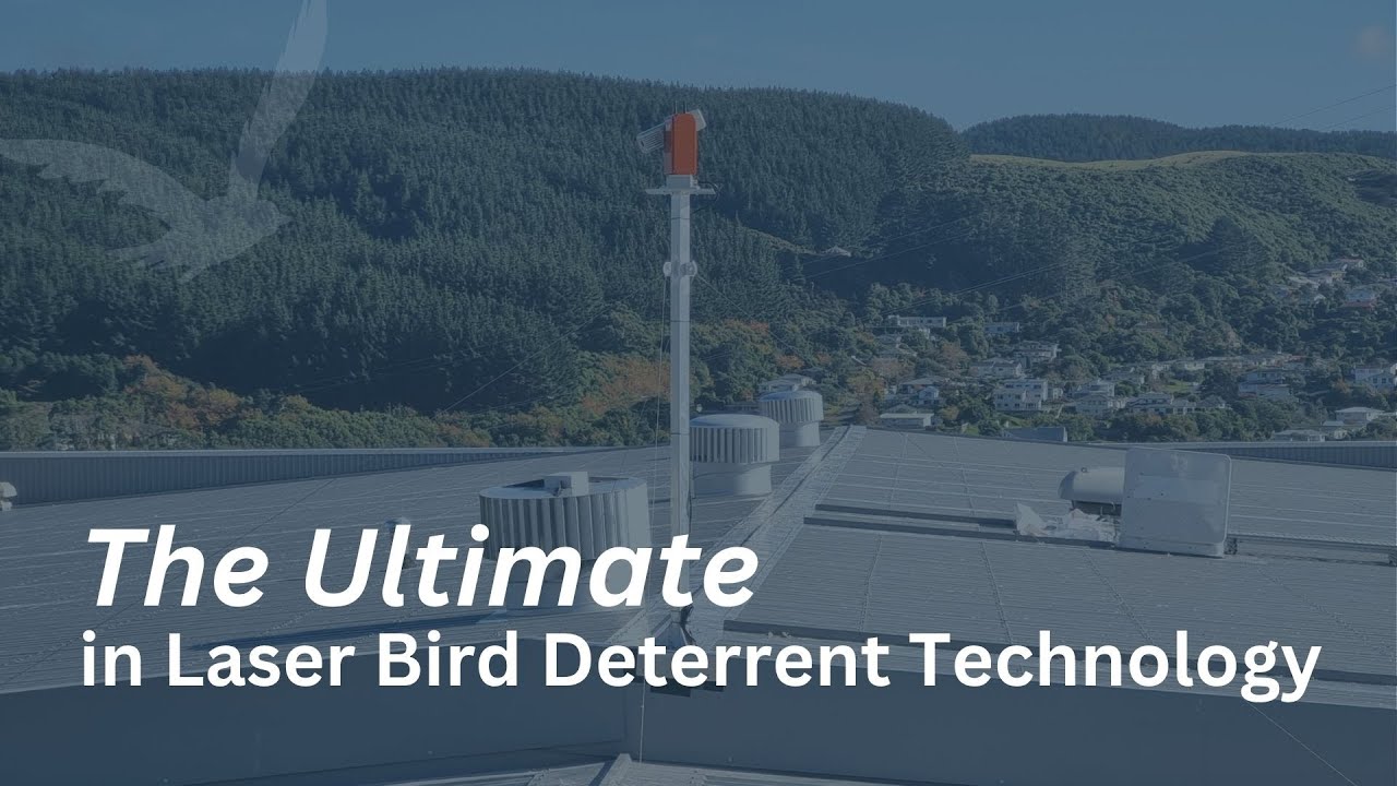 Birdzout Ultimate Laser