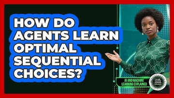 How Do Agents Learn Optimal Sequential Choices?