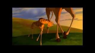 Le Roi Lion - L'Histoire de la Vie - en français I Disney