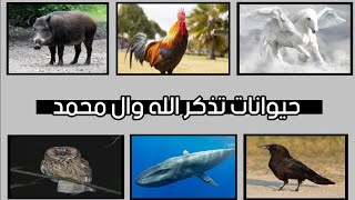 حيوانات تذكر الله وال محمد (صلوات الله عليهم)