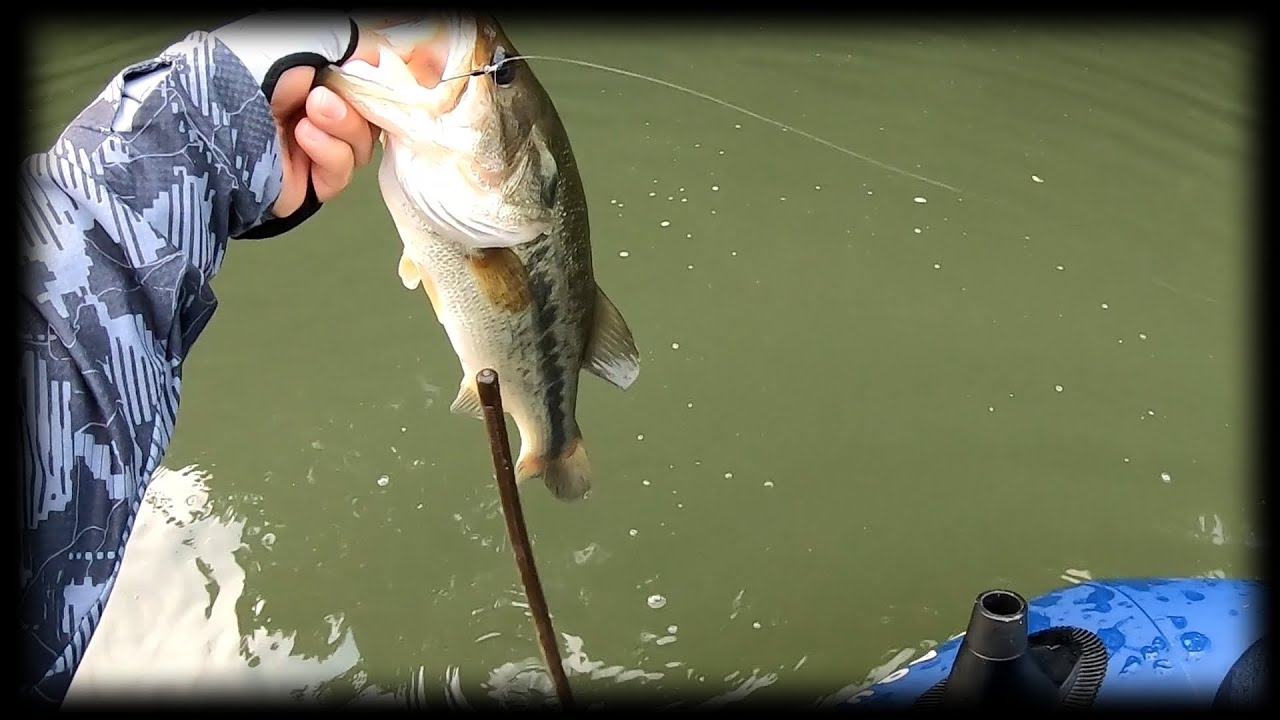 【ロングワーム】この一枚にすべてが入ってる【キンク―13】