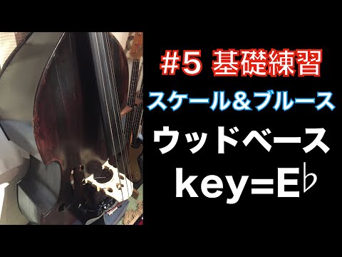 【ウッドベース】改良版 #5 初心者用基礎練習 『Ebメジャースケール＆Ebブルース』