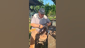 How to Properly Sharpen a Hand Scythe with a File (Grandpa’s Method) 🪓