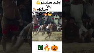 Arshad Sundhu Vs Sangraha