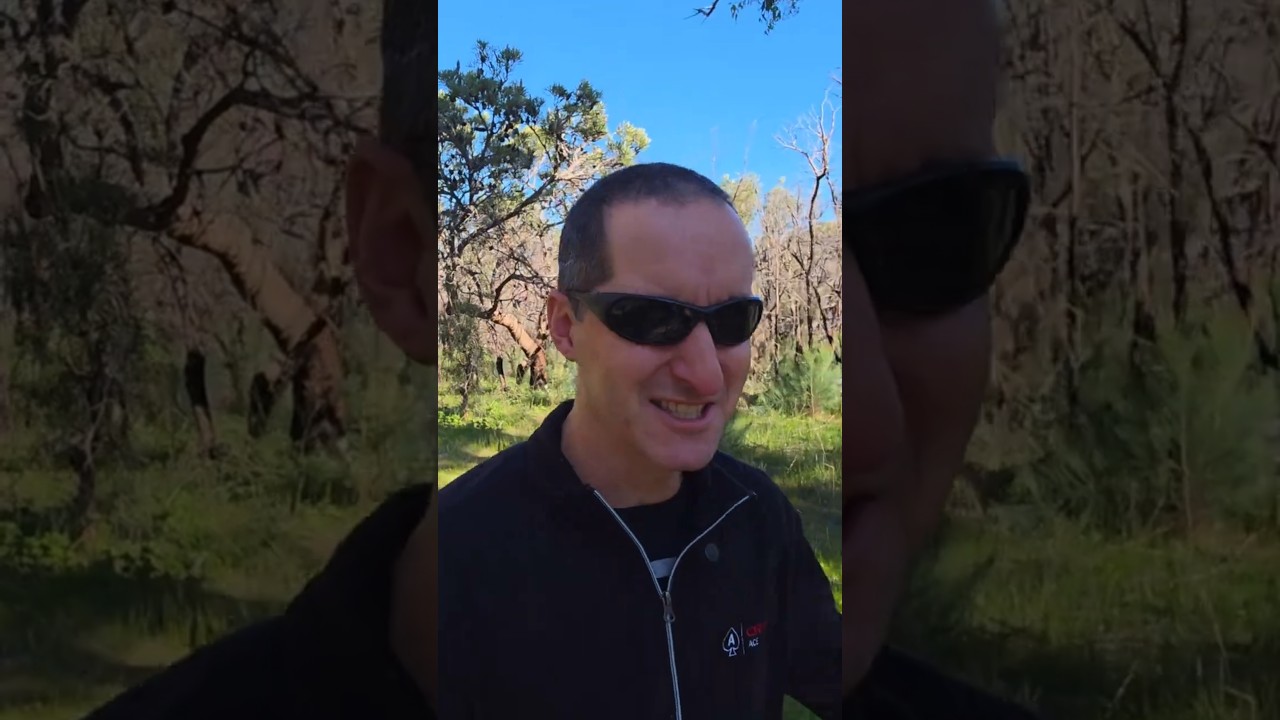 Learn SQL SELECT Statement - YouTube Auto PHP Script