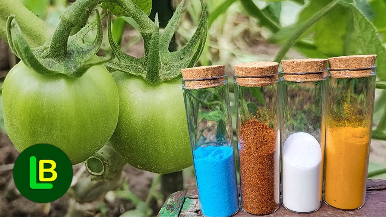 Непревзойденная защита растений в саду. Это 4 волшебных ингредиента.