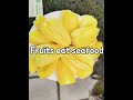 Crops eat seafood surely grow well ！！！