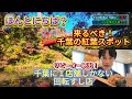 【泉自然公園】紅葉スポット【鮨八】幻店舗‼千葉県の魅力を伝えるローカルバラエティー番組「WORLD TIME」