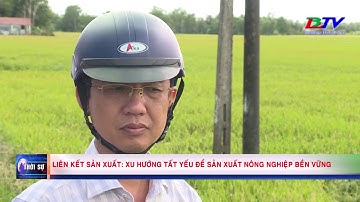 Liên kết sản xuất - Xu hướng tất yếu để sản xuất nông nghiệp bền vững.