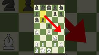 كيف تفوز في الشطرنج ب8 حركات بس 🤯