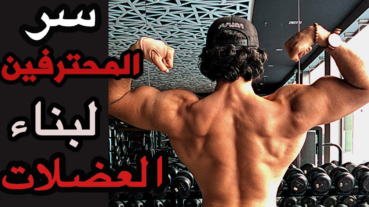 سر المحترفين في بناء العضلات بطريقة أسرع...
