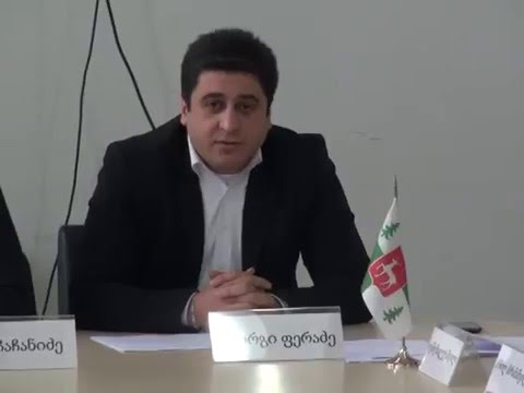 ბორჯომის საკრებულოს თავმჯდომარის მოადგილემ დეპუტატებს ანგარიში ჩააბარა