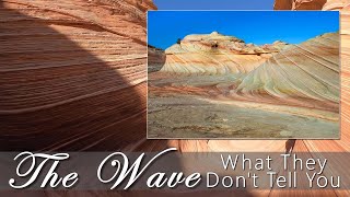 The Wave: What They Don&#39;t Tell You