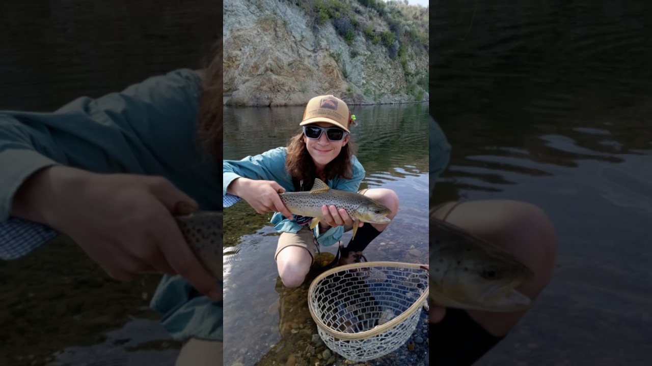 I caught my first Brown Trout!!!