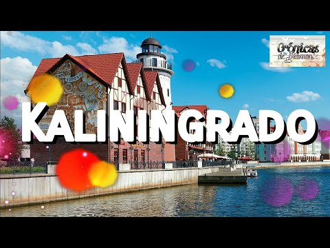Vídeo: La Policia De Kaliningrad Va Interrogar Un Amic Que Va Ser Apallissat Al Club De Priluchny