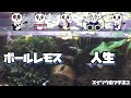 【ZIN-SÄY!】ポールレモス (GarageBand作品)