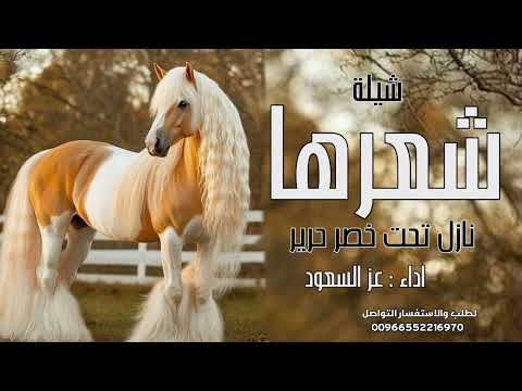 شيلة شعرها نازل تحت خصر حرير شيلة عروس حماسيه رقص شيلة عروس بدون حقوق اداء عز السعود حصريا 