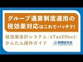 税効果会計システム（eTaxEffect）かんたん操作ガイド～グループ通算制度の税効果対応はこれでバッチリ！