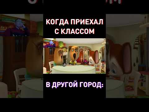 СКИНЬ В ГРУППУ КЛАССА RYTP Барбоскины