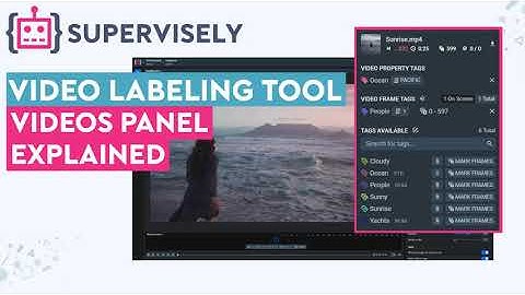 Videos Panel Explained (Video Labeling Tool)