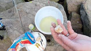 How to put bread on a fishing hook.