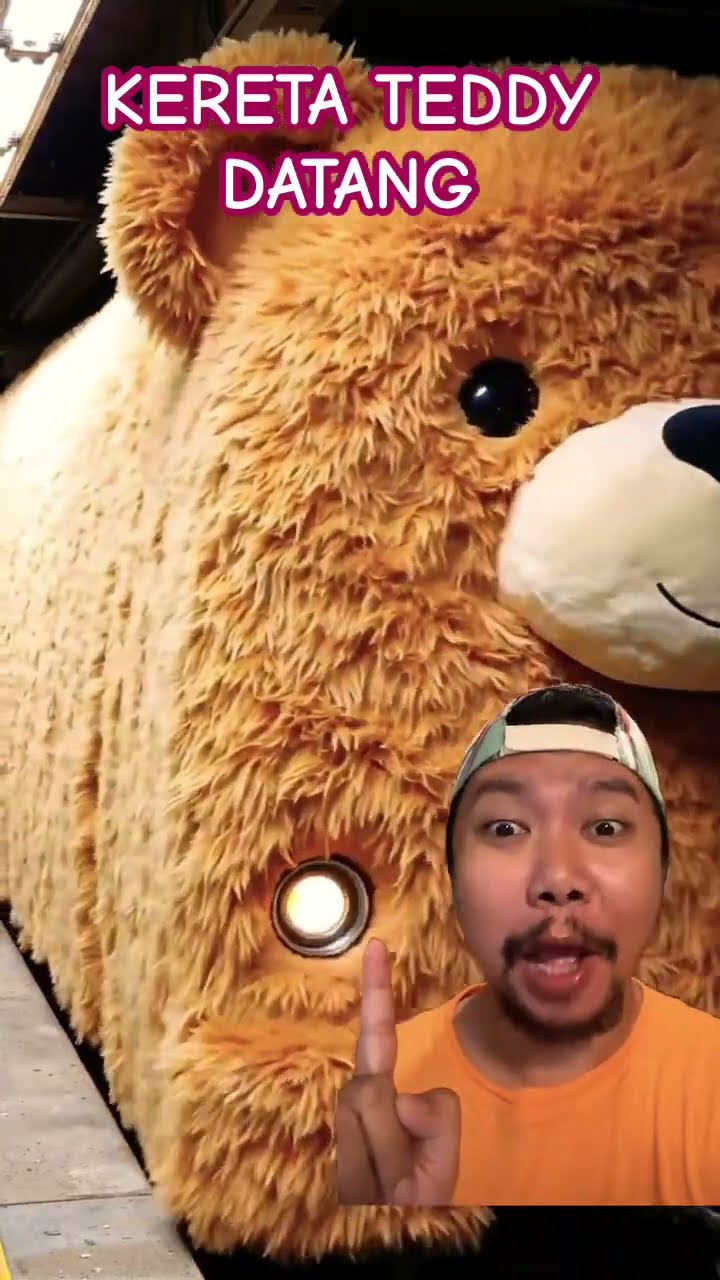 KERETA TEDDY BEARS DATANG!!!?? #train #short #shorts #funny