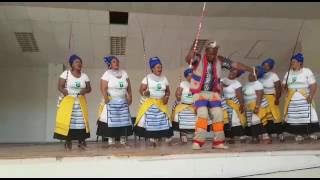 Sinomusa cultural group