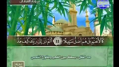 ما تيسر من سورة الفرقان - صلاح الهاشم