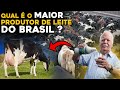 TOP 5 MAIORES FAZENDAS DE LEITE DO BRASIL - Rei do Gado Leiteiro!