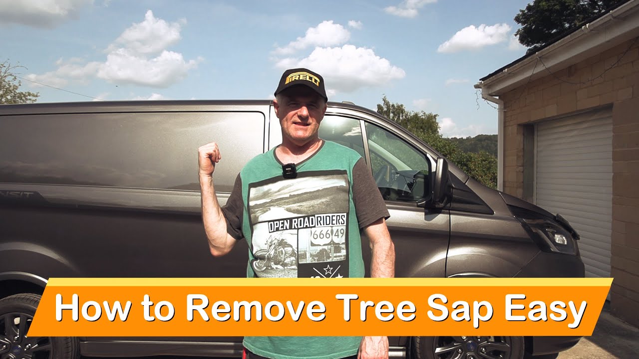 Ask DI: How to Remove Sap from Car – Ask a Pro Blog