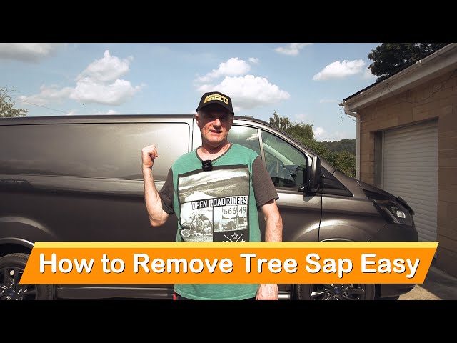 Tree Sap Remover - Case of 12 - 16 oz – DIY Detail