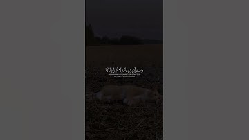 قرآن كريم 💙 #قرآن #عبدالرحمن_مسعد #اجر_لي_ولك #صلوا_على_النبي #اللهم_صل_وسلم_على_نبينا_محمد #غزة