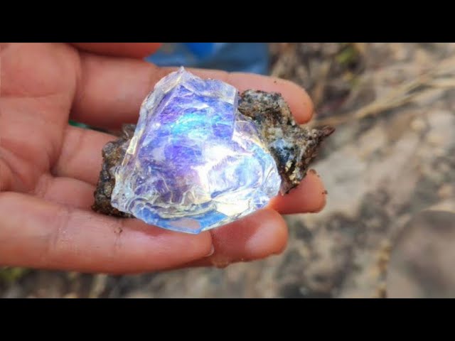 Мысықта тастар бар