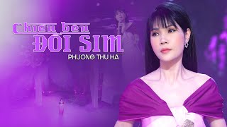 🔥Bài hát đang HOT🔥Chiều Bên Đồi Sim - Phương Thu Hà | 4K MV Official