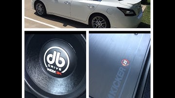 DB Drive WDX 15 in Probox [SERIOUS FLEXING ACTION]