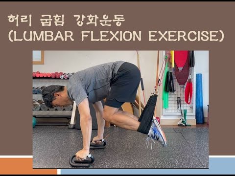 허리굽힘강화운동(Lumbar flexion exercise)