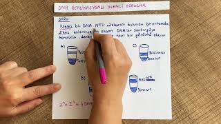Dna Replikasyonu Işlemli Sorular - N14,N15