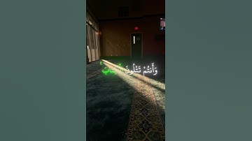 📖 Quran Karim | القرآن الكريم 🤲✨ تلاوة تبعث السكينة والطمأنينة ❤️ #quran #اكسبلور #الرحمن #duet