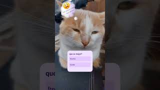cara dde que me quiere matar🥲