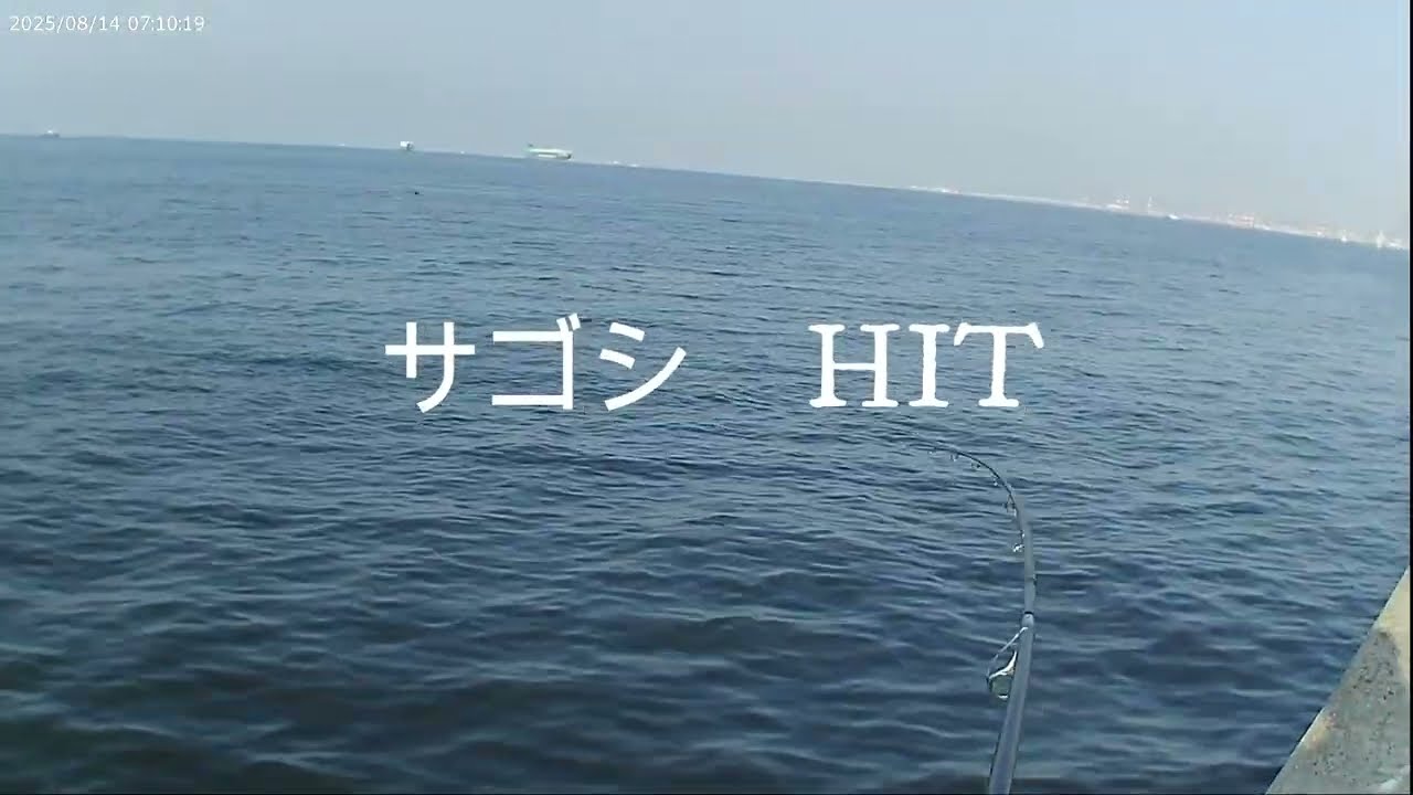 【武庫川一文字　サゴシ編】武庫川一文字でサゴシの当たりが連発！ノマセもやってみた