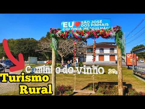 CONHEÇA CAMINHO DO VINHO ? São José dos Pinhais PR COLÔNIA MERGULHÃO #turismo #turismorural #vinho