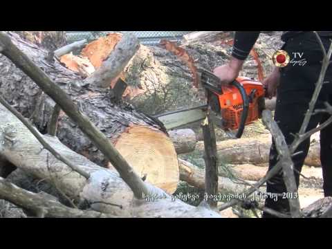 1 5 ხეების გაჩეხვა ჭავჭავაძეზე