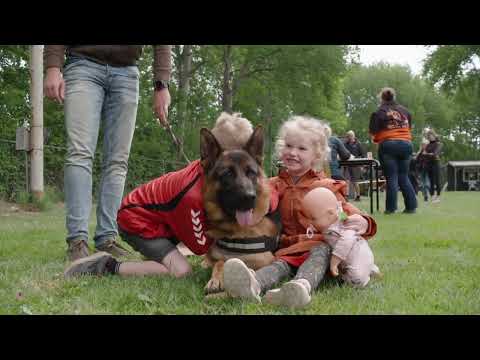 Video: Zou jij een goede Duitse herdershond zijn?