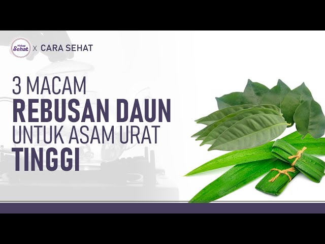 Asam Urat Tinggi? Coba 3 Rebusan Daun Ini | Hidup Sehat tvOne class=