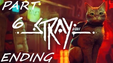 STRAY Gameplay Walkthrough Part 6 ENDING No Commentary [ 4K HDR PS5 ]