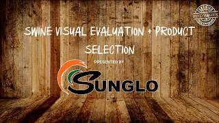 Show Pig Visual Evaluation + Product Selection | Sunglo Feeds