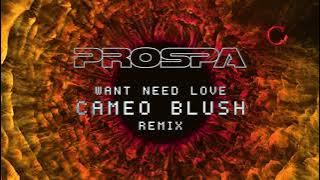 Prospa - Want Need Love (Cameo Blush Remix) | Visualiser